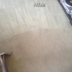 Weston -Carpet-Cleaning-Company