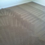 Weston -Carpet-Cleaning-Wall-To-Wall